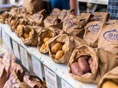 Warragul Farmers Market - Hobart Tourism 2