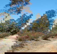 Werakata National Park - Tourism TAS