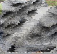 Windara Reef - Tourism TAS