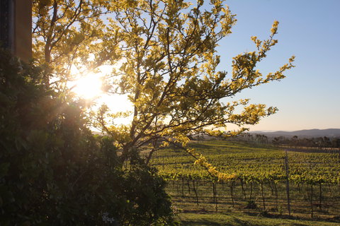 Wine Trail: Queanbeyan-Palerang - Tourism TAS 1