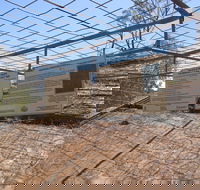 Aboriginal Carvings - Hobart Tourism