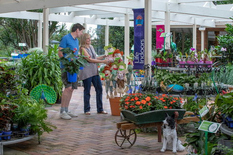 Adare - Tourism TAS 0