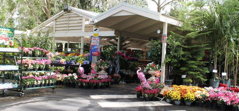 Adare - Tourism TAS 2