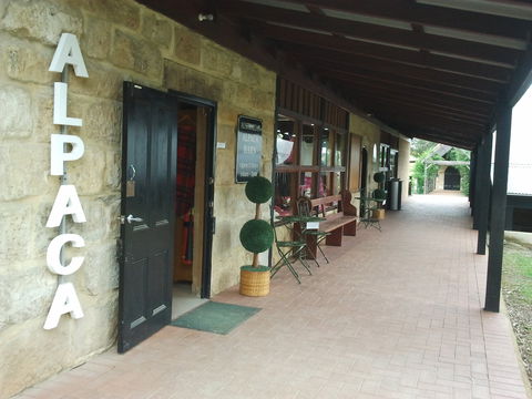 Australian Alpaca Barn - Pokolbin - Tourism TAS 0
