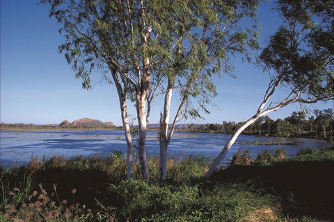 Bandicoot Bar - Hobart Tourism 0