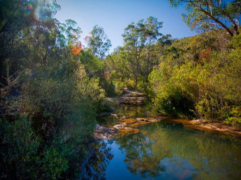 Bargo State Conservation Area - Hobart Tourism 0