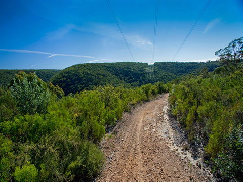 Bargo State Conservation Area - Hobart Tourism 1