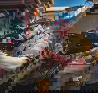 Battlezone Playlive - Hobart Tourism