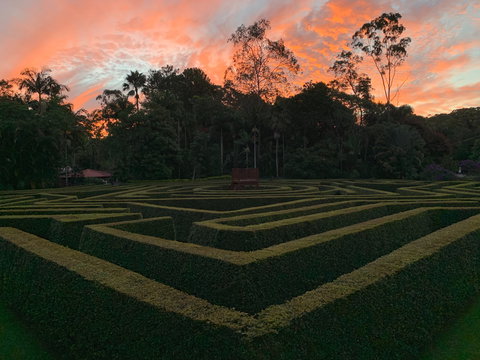 Bellingham Maze - Tourism TAS 0