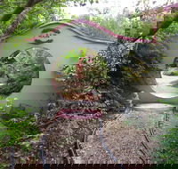 Black Dragon Gardens Wulong Yuan - Hobart Tourism
