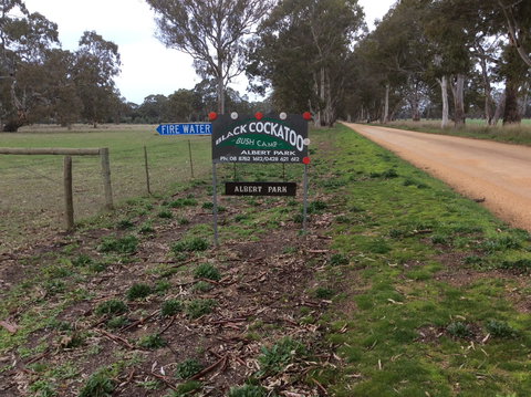 Black Cockatoo Bush Camp - Tourism TAS 0