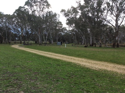 Black Cockatoo Bush Camp - Tourism TAS 2