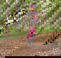 Bom Bom State Forest Mountain Bike Trails - Hobart Tourism