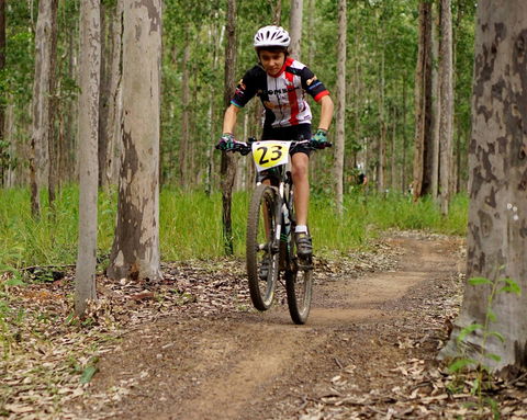 Bom Bom State Forest Mountain Bike Trails - Hobart Tourism 1