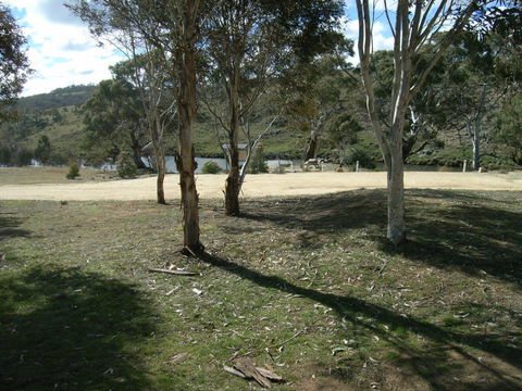 Bombala Platypus Reserve - Tourism TAS 0
