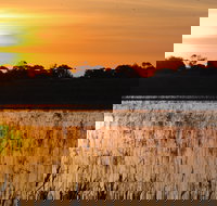 Bool Lagoon Game Reserve and Hacks Lagoon Conservation Park - Tourism TAS