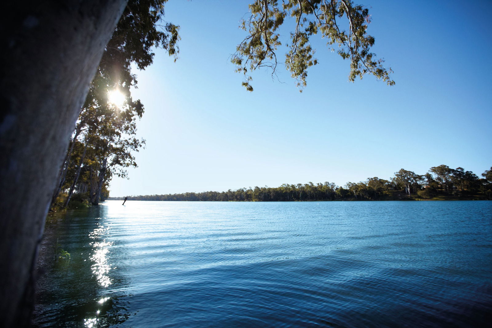 Branyan QLD Tourism TAS