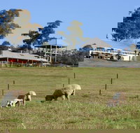 Calmsley Hill City Farm - Hobart Tourism