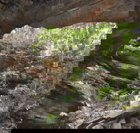 Cave Creek Walking Track - Hobart Tourism
