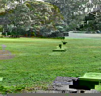 Cottonwood Glen Picnic Area - Tourism TAS