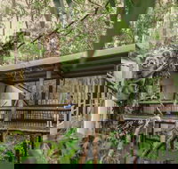 Daisy Hill Koala Centre - Tourism TAS