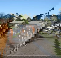 Darkes Forest Riding Ranch - Tourism TAS