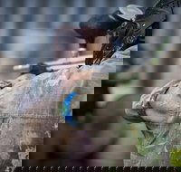 Delta Force Paintball - Tourism TAS