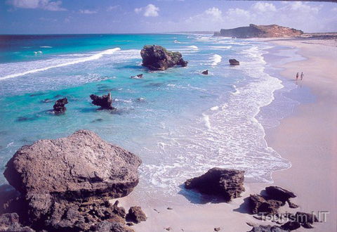 Dhimurru Recreational Area - Tourism TAS 0