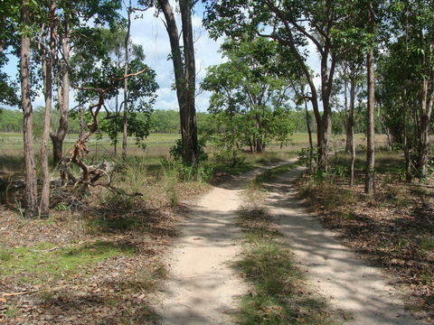 Djukbinj National Park - Tourism TAS 0