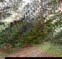 End Peak walking track - Hobart Tourism