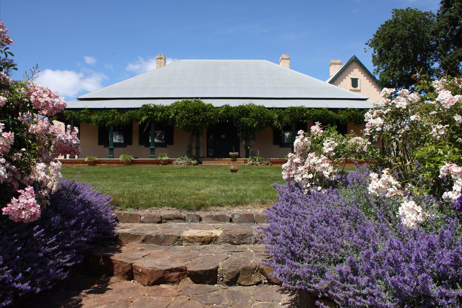  Tourism TAS
