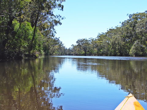 Esk River - Tourism TAS 0