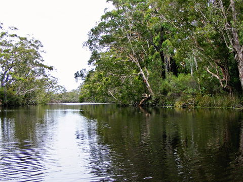 Esk River - Tourism TAS 2