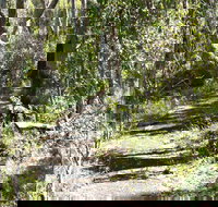 Euglah Rock Walking Track - Tourism TAS