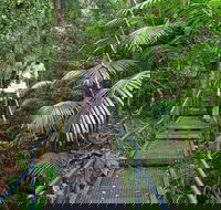 Falls walking track - Tourism TAS