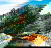 Gayndah's Big Orange - Tourism TAS