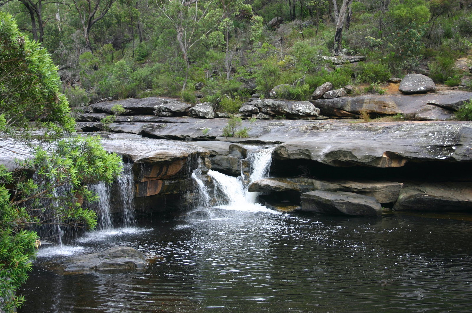 Kentlyn NSW Tourism TAS