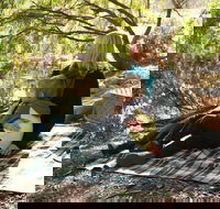 Haig Street Quarry Bushland Reserve Trails - Hobart Tourism