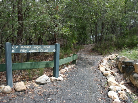 Haig Street Quarry Bushland Reserve Trails - Tourism TAS 1