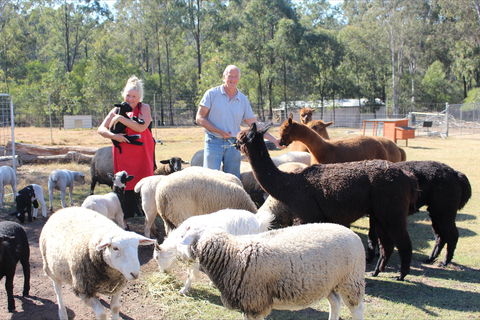 Haigslea EWE Nique Hobby Farm - Tourism TAS 0