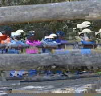 Harlow Park Horse Riding - Hobart Tourism