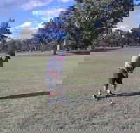 Inverell Golf Club - Tourism TAS