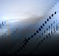 Jounama Creek Walking Track - Tourism TAS