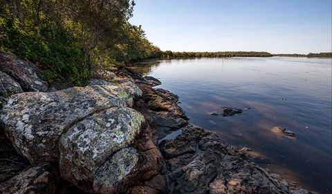 Karuah River National Park And Nature Reserve - Tourism TAS 2