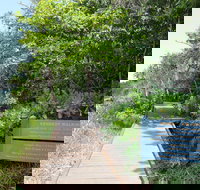 Kennedy Walking Track - Hobart Tourism