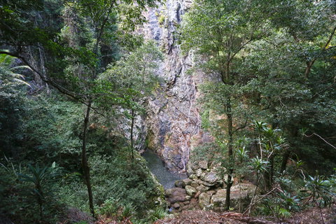 Kondalilla Falls Circuit, Kondalilla National Park - Tourism TAS 0