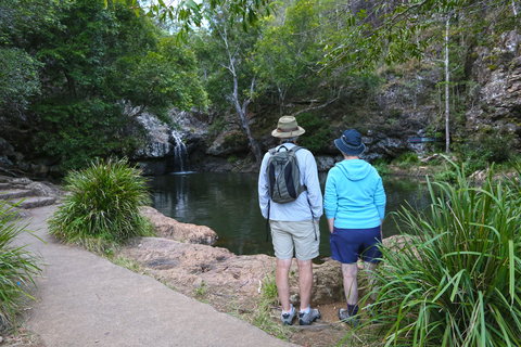 Kondalilla Falls Circuit, Kondalilla National Park - Tourism TAS 1