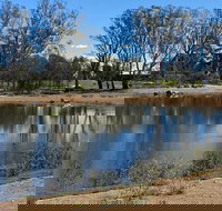Lake King Wetlands at Rutherglen - Hobart Tourism