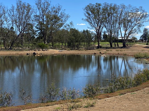 Lake King Wetlands At Rutherglen - Tourism TAS 0