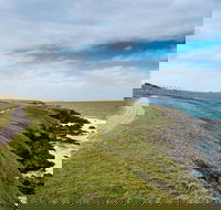 Look At Me Now Headland Walk - Tourism TAS